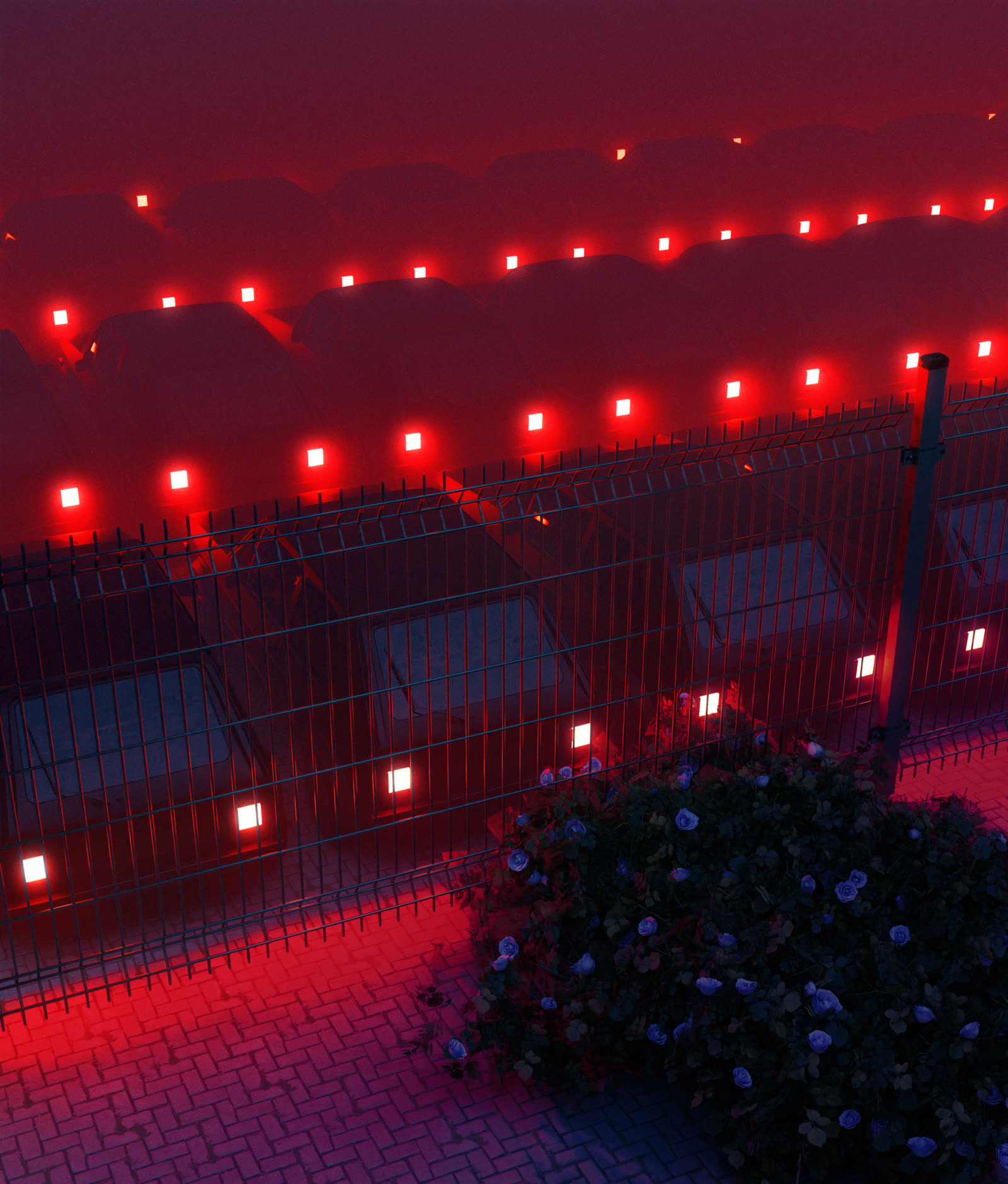Rows of red lights along a fence at dusk with a flowering bush in the foreground