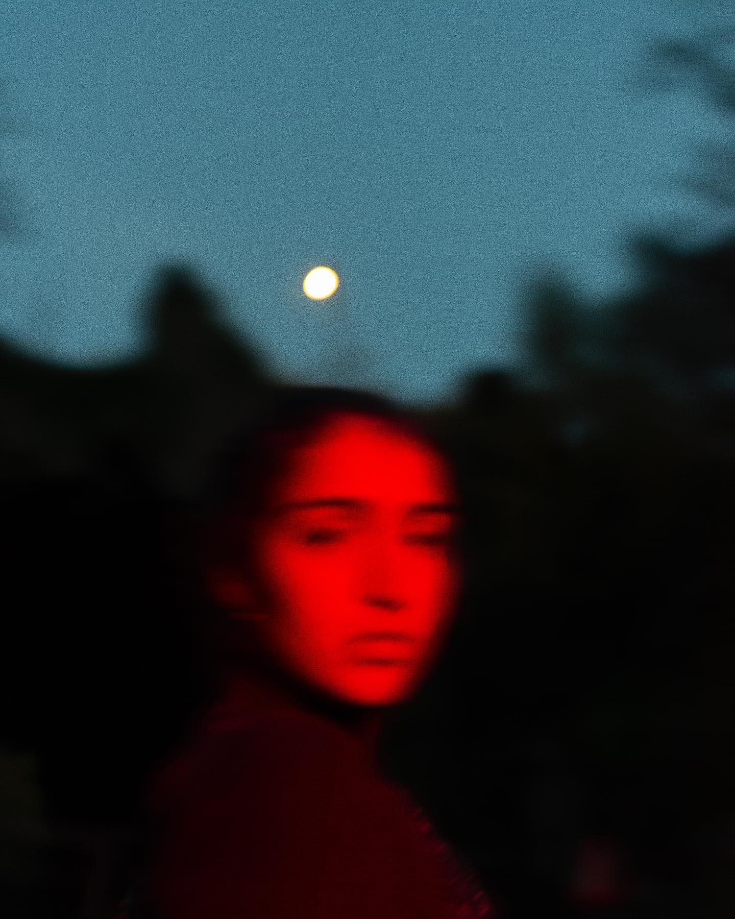 A profile portrait lit warm orange against a backdrop of blurred trees