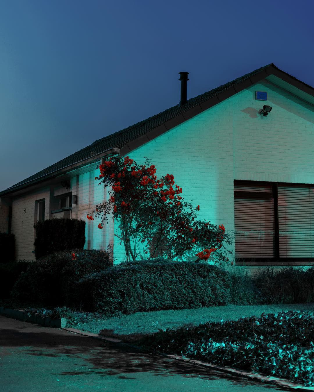 A bungalow lit teal at dusk, red roses blooming against the brick wall