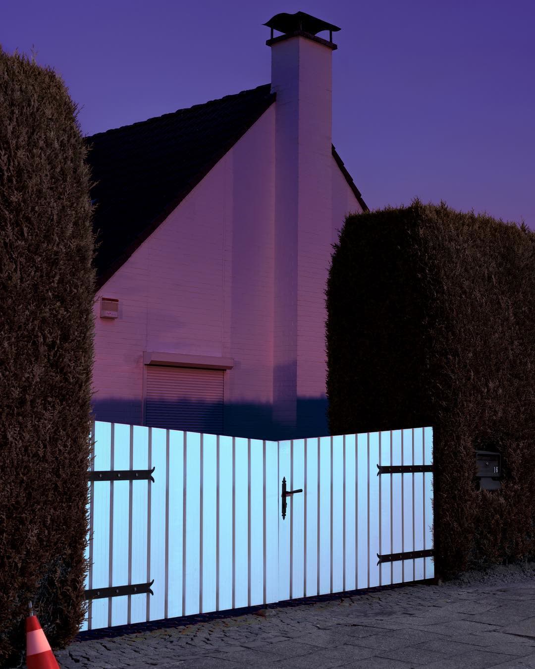 A house lit teal by a security light, roses glowing red against the brick