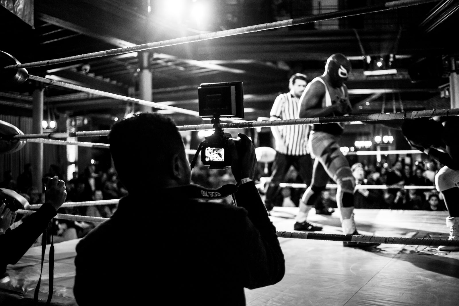 In-ring wrestling action with crowd in the background, Brussels 2015